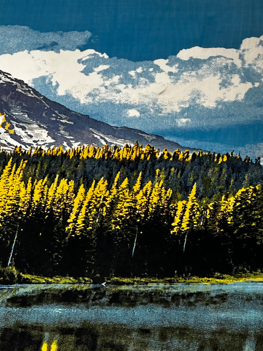 *The Mountain
